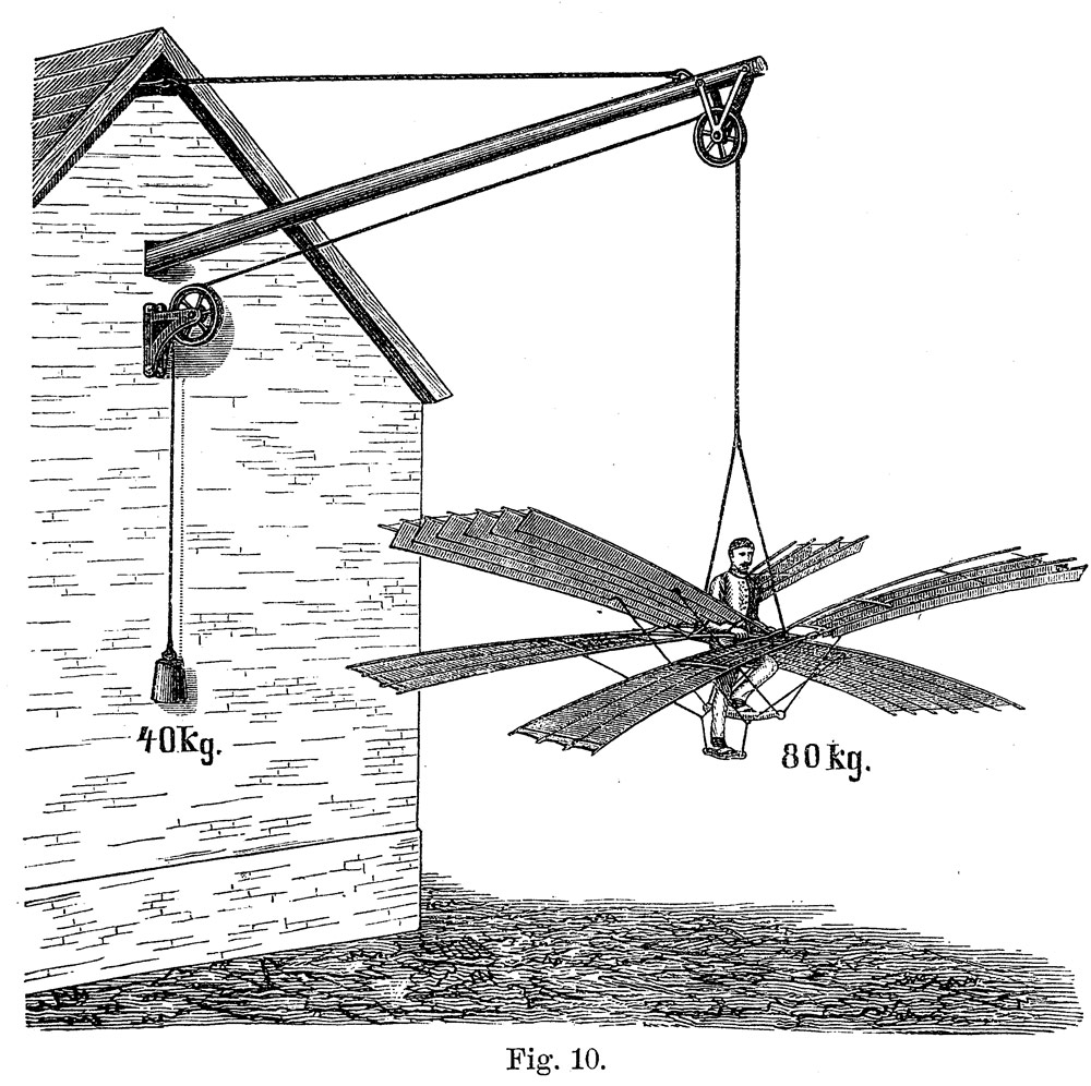 Der Vogelflug als Grundlage der Fliegekunst (1889)