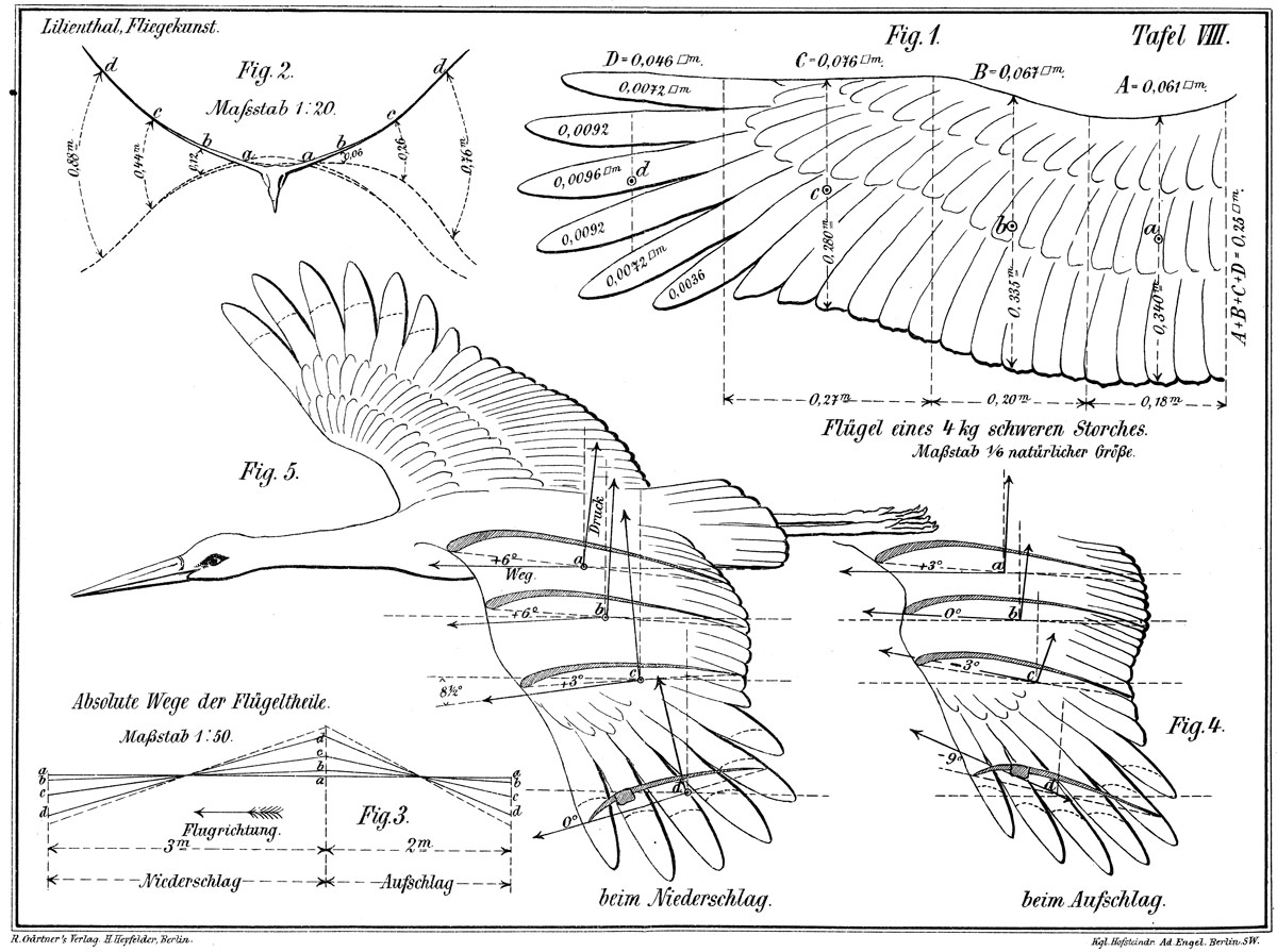 Otto Lilienthal, Der Vogelflug als Grundlage der Fliegekunst (1889)