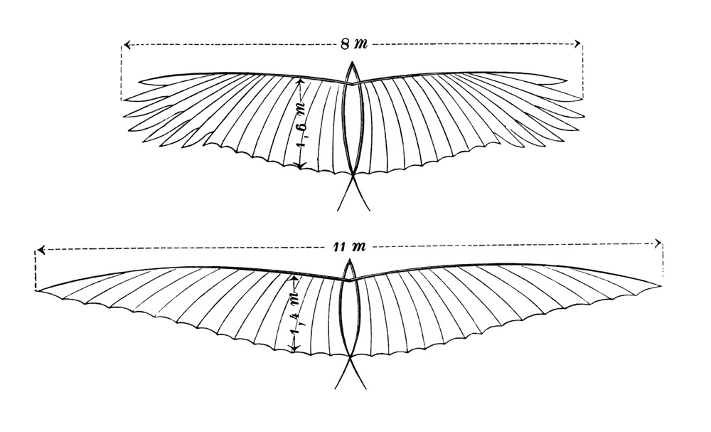 Technische Zeichnung des „Modells Möwe“, in: Otto Lilienthal, Der Vogelflug als Grundlage der Fliegekunst (1889)